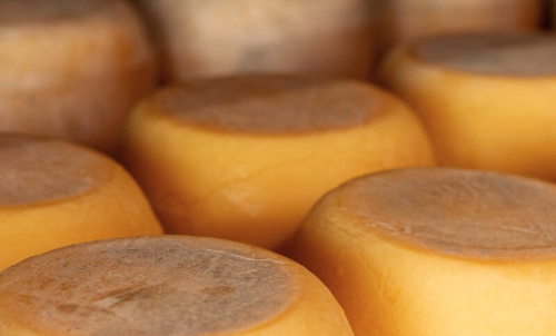 Como Harmonizar Queijo Minas e Canastra com Vinhos?