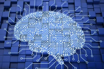A Relação entre Decisões Rápidas e Eficiência Logística: O que a Neurociência Diz