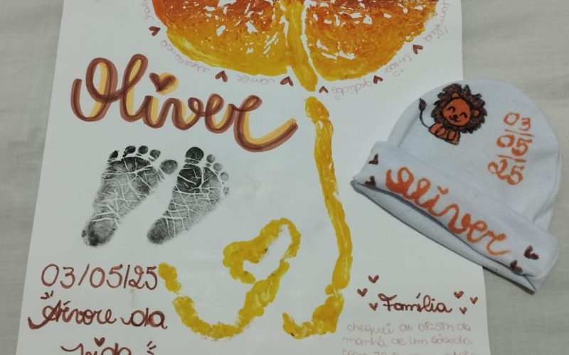 Hospital e Maternidade Octaviano Neves transforma placentas em arte afetivas para mamães